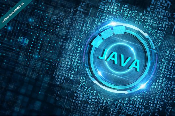  Formation Internet des objets, développer des applications connectées en Java et C++