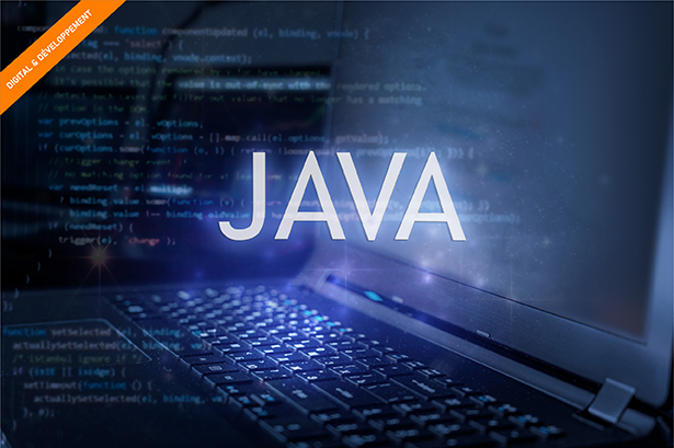 Formation Conception d'applications Java/JEE, synthèse