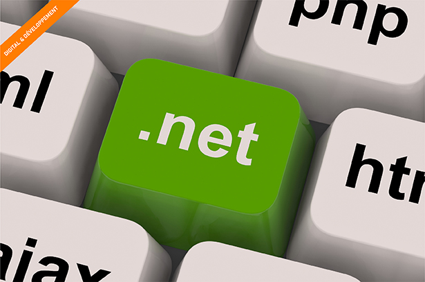 Formation .NET, développer des applications Web en HTML5, CSS3 et JavaScript