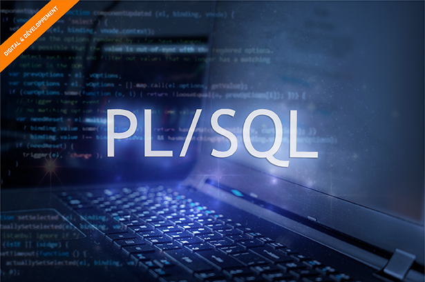 Formation Développer en PL/SQL, perfectionnement